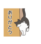 はちわれねこの家族会話（個別スタンプ：29）