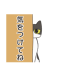 はちわれねこの家族会話（個別スタンプ：33）