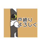 はちわれねこの家族会話（個別スタンプ：36）