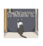 はちわれねこの家族会話（個別スタンプ：37）