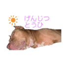 じぇむさん（個別スタンプ：14）