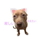 じぇむさん（個別スタンプ：17）