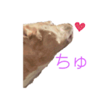 じぇむさん（個別スタンプ：22）