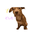 じぇむさん（個別スタンプ：25）