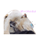 じぇむさん（個別スタンプ：31）