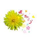 花鳥はんこ（個別スタンプ：3）