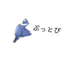 花鳥はんこ（個別スタンプ：5）
