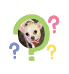 べる専用スタンプ（個別スタンプ：6）