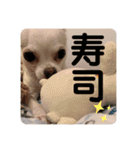 べる専用スタンプ（個別スタンプ：16）