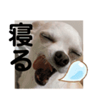 べる専用スタンプ（個別スタンプ：21）
