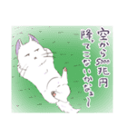 毎日ムカつく猫（個別スタンプ：31）