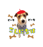 ごきげん☆バギー♡ちょこっとひーさん（個別スタンプ：2）