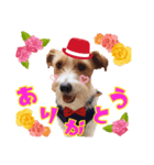ごきげん☆バギー♡ちょこっとひーさん（個別スタンプ：5）