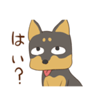 毎日元気な犬（個別スタンプ：11）