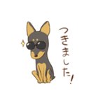 毎日元気な犬（個別スタンプ：18）