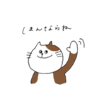ほぼ岡山弁ねこ（個別スタンプ：16）