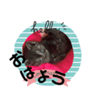 笑ってるけどね♡（個別スタンプ：4）