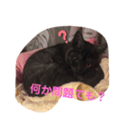 笑ってるけどね♡（個別スタンプ：10）