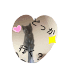 笑ってるけどね♡（個別スタンプ：12）