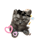 笑ってるけどね♡（個別スタンプ：14）