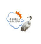 可愛い鳥ちゃん5（個別スタンプ：7）