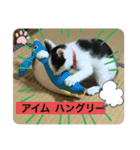ちょびちゃん@（個別スタンプ：1）