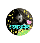 ちょびちゃん@（個別スタンプ：12）