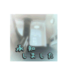 花と景色の癒し写真。大人の挨拶 日常使い（個別スタンプ：4）
