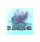 花と景色の癒し写真。大人の挨拶 日常使い（個別スタンプ：11）