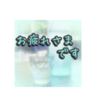 花と景色の癒し写真。大人の挨拶 日常使い（個別スタンプ：14）