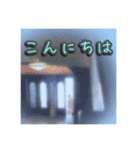 花と景色の癒し写真。大人の挨拶 日常使い（個別スタンプ：18）