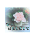 花と景色の癒し写真。大人の挨拶 日常使い（個別スタンプ：20）
