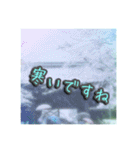 花と景色の癒し写真。大人の挨拶 日常使い（個別スタンプ：25）
