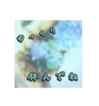 花と景色の癒し写真。大人の挨拶 日常使い（個別スタンプ：27）
