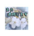 花と景色の癒し写真。大人の挨拶 日常使い（個別スタンプ：30）