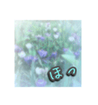 花と景色の癒し写真。大人の挨拶 日常使い（個別スタンプ：39）