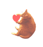 3匹の決して小さくないねこ（個別スタンプ：4）