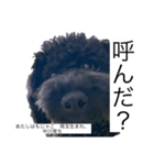 もじゃ日記2（個別スタンプ：4）