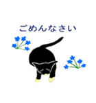 猫とお花（個別スタンプ：4）