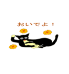 猫とお花（個別スタンプ：5）