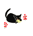 猫とお花（個別スタンプ：6）