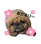gontaすたんぷ（個別スタンプ：10）