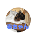 spooky stanp 2（個別スタンプ：3）