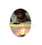 spooky stanp 2（個別スタンプ：4）