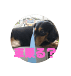 spooky stanp 2（個別スタンプ：5）