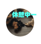 spooky stanp 2（個別スタンプ：7）