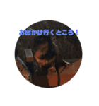 spooky stanp 2（個別スタンプ：8）