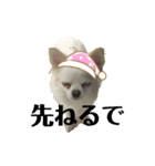 とぅぶスタ（個別スタンプ：3）