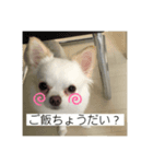 とぅぶスタ（個別スタンプ：4）