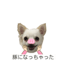 とぅぶスタ（個別スタンプ：6）
